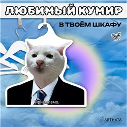 Подарок мужчине Вешалка с головой Мем Кота "Приемлемо"