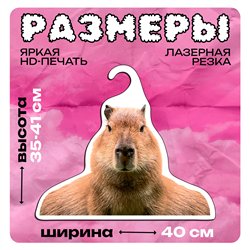 Милый Подарок подружке на др Вешалка Капибара