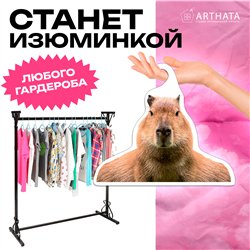 Милый Подарок подружке на др Вешалка Капибара