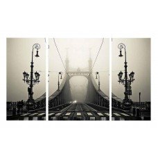 Картина на холсте по фото Модульные картины Печать портретов на холсте Мост в тумане