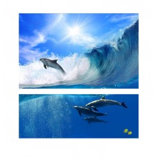 Картина на холсте по фото Модульные картины Печать портретов на холсте Дельфины