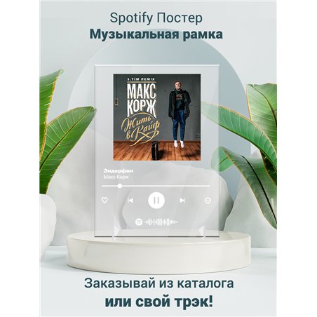Макс Корж-Эндорфин - постер Spotify