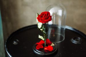 Стабилизированная роза