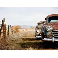 Фотообои - Старые американские авто