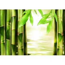 Фотообои - Бамбуковый пейзаж